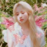 Предикшионс