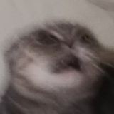 ☕️ Мерлин заваривает чай ⍨ 