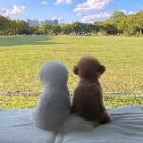 кабинет химии