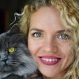 Палисадник с мезонином