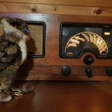 Советов приёмник