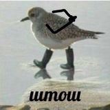 Хранитель мыслей