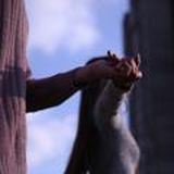 Яна печатает...