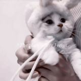 Дᴩᴀʍᴀ ʍёᴩᴛʙых чуʙᴄᴛʙ / ℎ  ℎ  .`♡