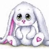 photohelll has never been here idk who she is please leave