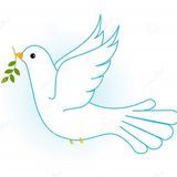 Елена Гусева