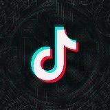 Заработок TikTok