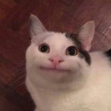 Vida del jugador | Жизнь игрока