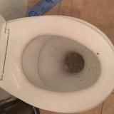 Бухая бывшая