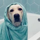 Эльвира Пинчук