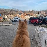 Щоденник Аліни Сехі