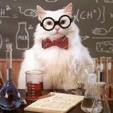 Никита и его пшд