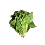 полями’с пейдж