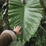 экстаz для глаz