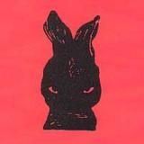 Бедрум Активитис