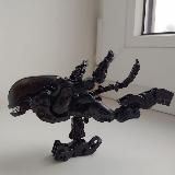 Чорный гештальтист