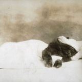 блейзербой