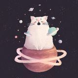 Кот проснулся