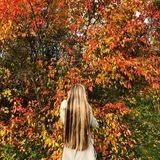 Дудка по-пекински