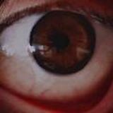 Hallucination.art 