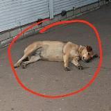 Черный вторник