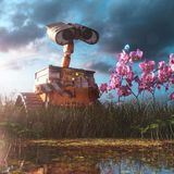 В моём дворе цветёт сакура