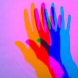 All you need is Leoneed