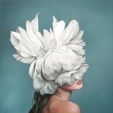 Unknown Барышня