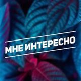 Конья. Мне интересно.