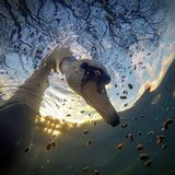 Антон со дна *постучался*