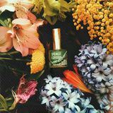 Аромат Карелии