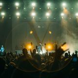 кружочки дарьи милк