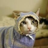 [18+] Ксюша ходит на свидания