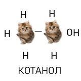 ася про духи