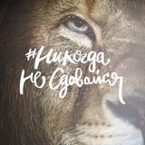 НИКОГДА НЕ СДАВАЙСЯ