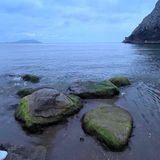 Колония Ветра