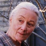 Твоя фандомная бабуля