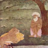 чудо-биоробот