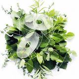 Все об упаковке