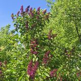 just nakamoto things.