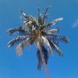 Блог jcrush⚡️