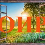 Обыватель_Из_России (ОИР)