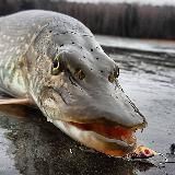 Рыбалка. Fishing