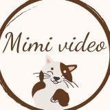 MIMI_VIDEO Животные