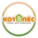 Catndog_kzn Приют &quot;Кот и пес&quot;