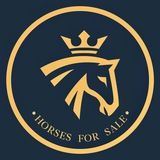 Horses for sale 