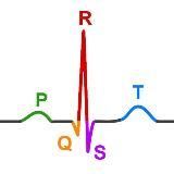 ЭКГ каждый день