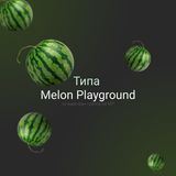 Типо Melon Playground