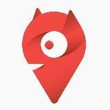 Crypto Davy l Тестнеты l NFT