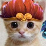 Котики и Дота 2